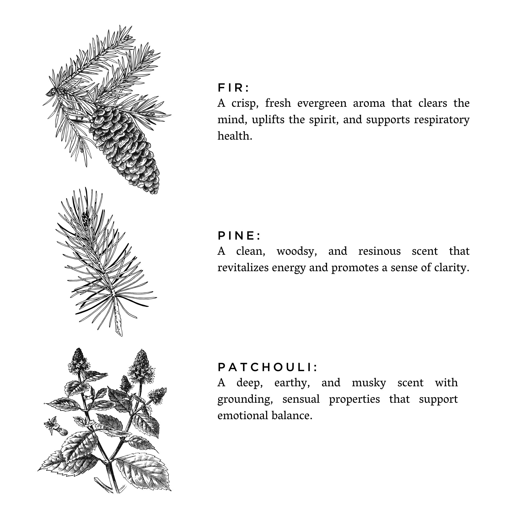 Illustrations of fir, pine, and patchouli with descriptive text on a white background.
Hand-poured in Austin, Texas, this candle is made with 100% soy wax and pure essential oils