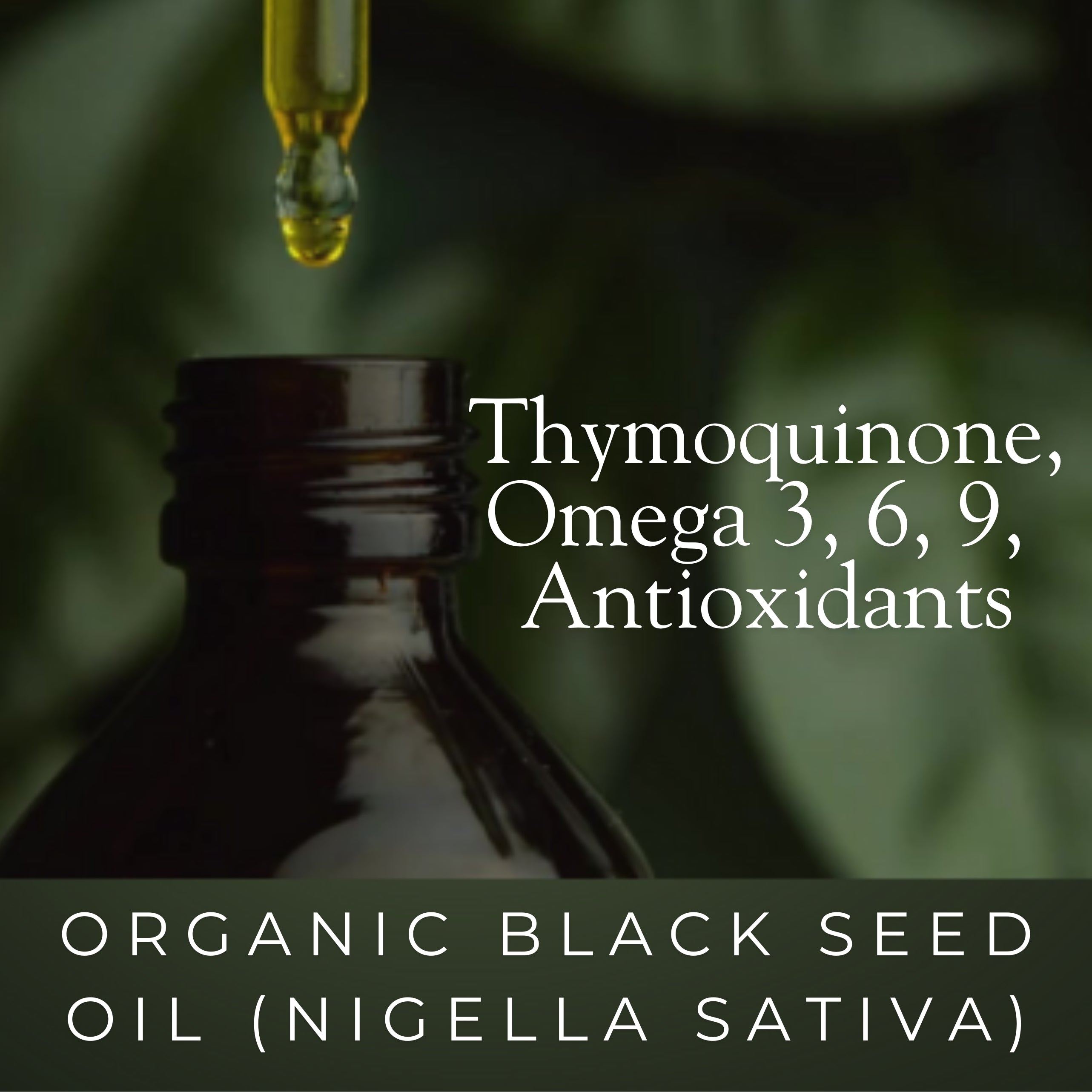 Organic Black Seed Oil - Black Cumin Seed Oil Cold Pressed, Nigella Sativa, Pure Unrefined Blackseed Liquid, Premium Supplement for Health with Thymoquinone, Omega 3 6 9- 4 oz.