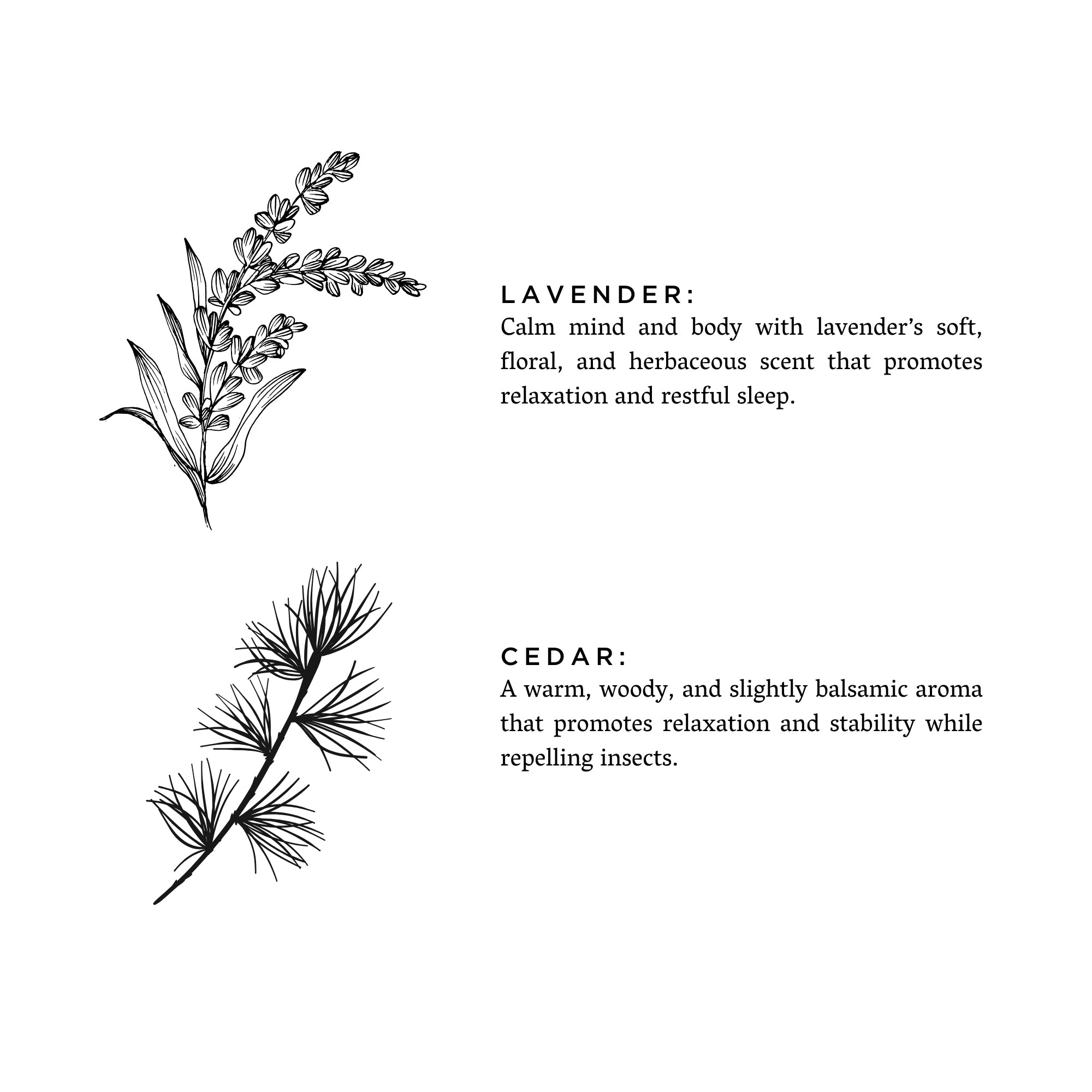 Illustrations of lavender and cedar branches with descriptive text on a white background. Transform your space into a serene retreat with our new Signature 3-Wick Candle in Lavender + Cedar—a calming, grounded blend designed to fill larger spaces with soft, natural fragrance and a warm, even glow. Topped with a black metal lid.
Hand-poured in Austin, Texas, this candle is crafted with 100% soy wax and pure essential oils, offering a clean, non-toxic burn you can feel good about.