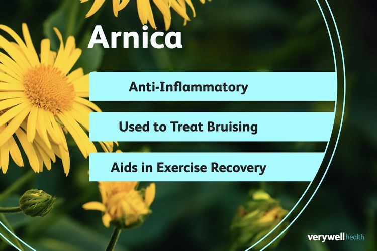 Arnica Salve 2 oz.- Natural Recovery Treatment for Pain Relief, Bruises, Wounds, Scaring, Back and Muscle Soreness.
