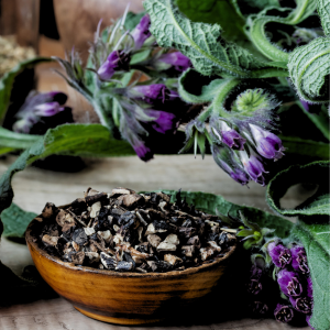 arnica for bruising and natural skin care varicose veins dermatitis workout recovery comfrey salve