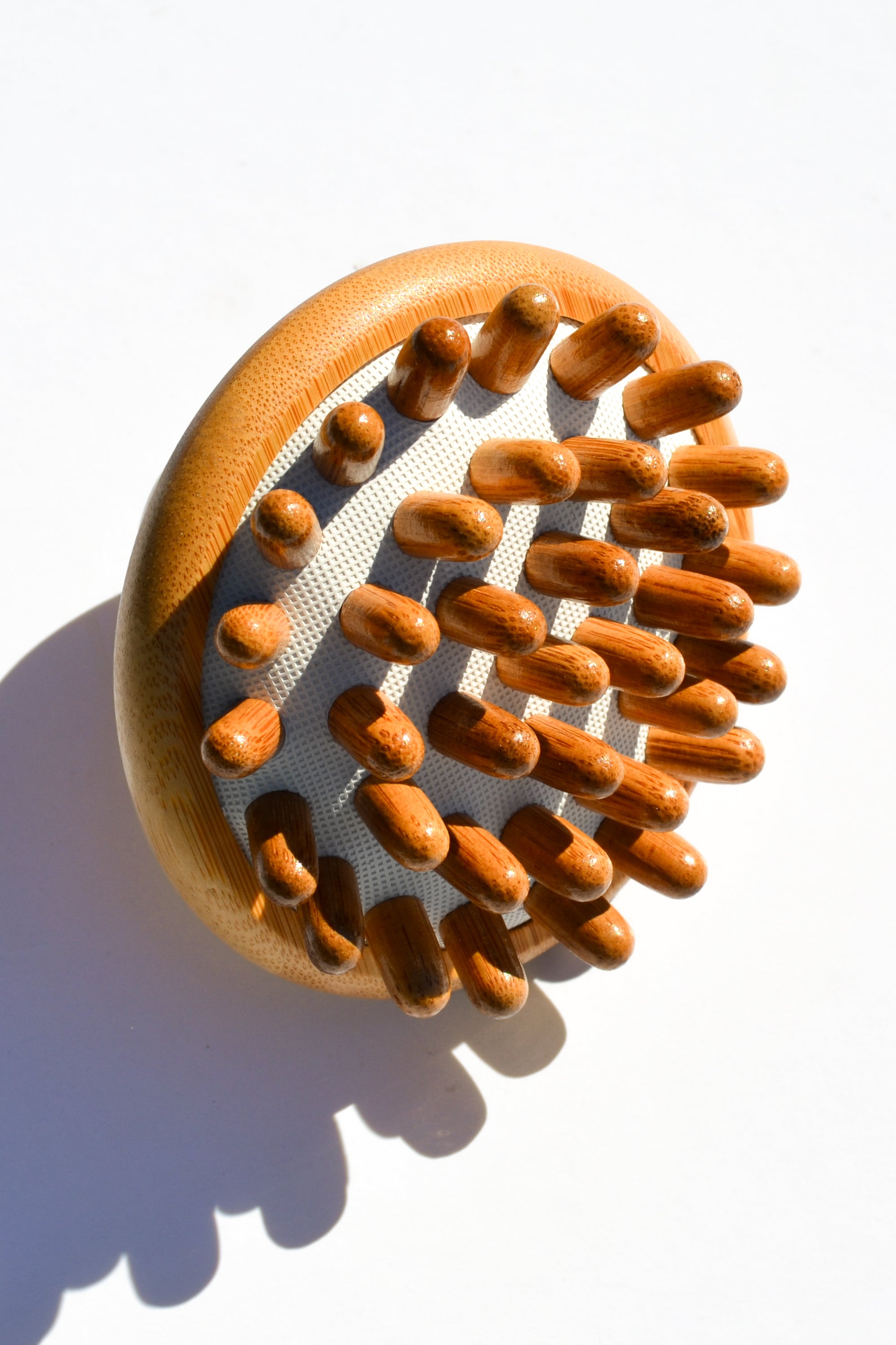 Hair and Scalp