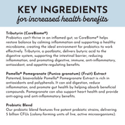 Probiotic Complex Capsules