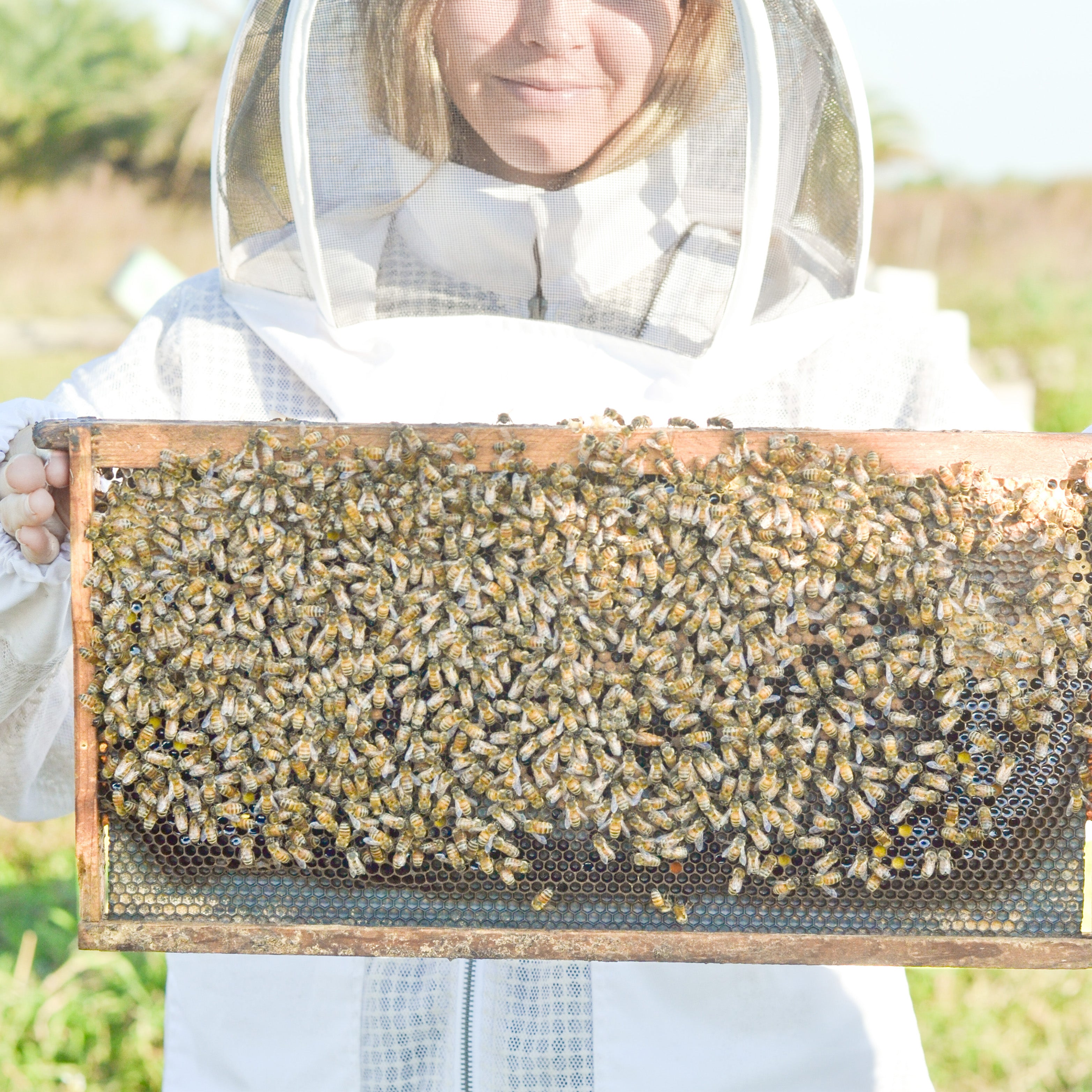 Person in a beekeeping suit holding a frame with bees and honeycomb. Before and after comparison of a hand with visible skin conditions on a tiled wall background. eczema and psoriasis on hands. Pretty Farm Girl | Pure Tallow + Honey Fragrance Free Handmade Tallow and Goat Milk Soap Bar for skin