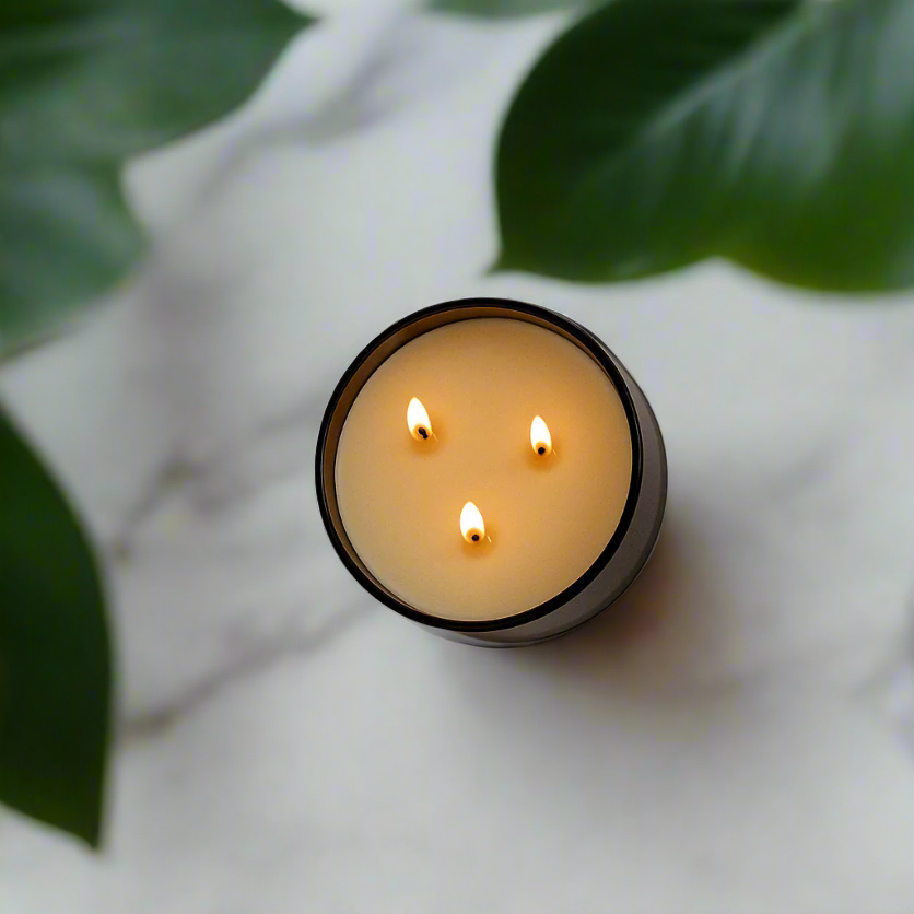 Three-wick candle in a glass container on a white surface with green leaves in the background. Transform your space into a serene retreat with our new&nbsp;Signature 3-Wick Candle in&nbsp;Eucalyptus + Lavender&nbsp;— a sweet, calming blend designed to fill larger spaces with soft, natural fragrance and a warm, even glow. Topped with a black metal lid.

Hand-poured in Austin, Texas, this candle is crafted with 100% soy wax and pure essential oils, offering a clean, non-toxic burn you can feel good about.