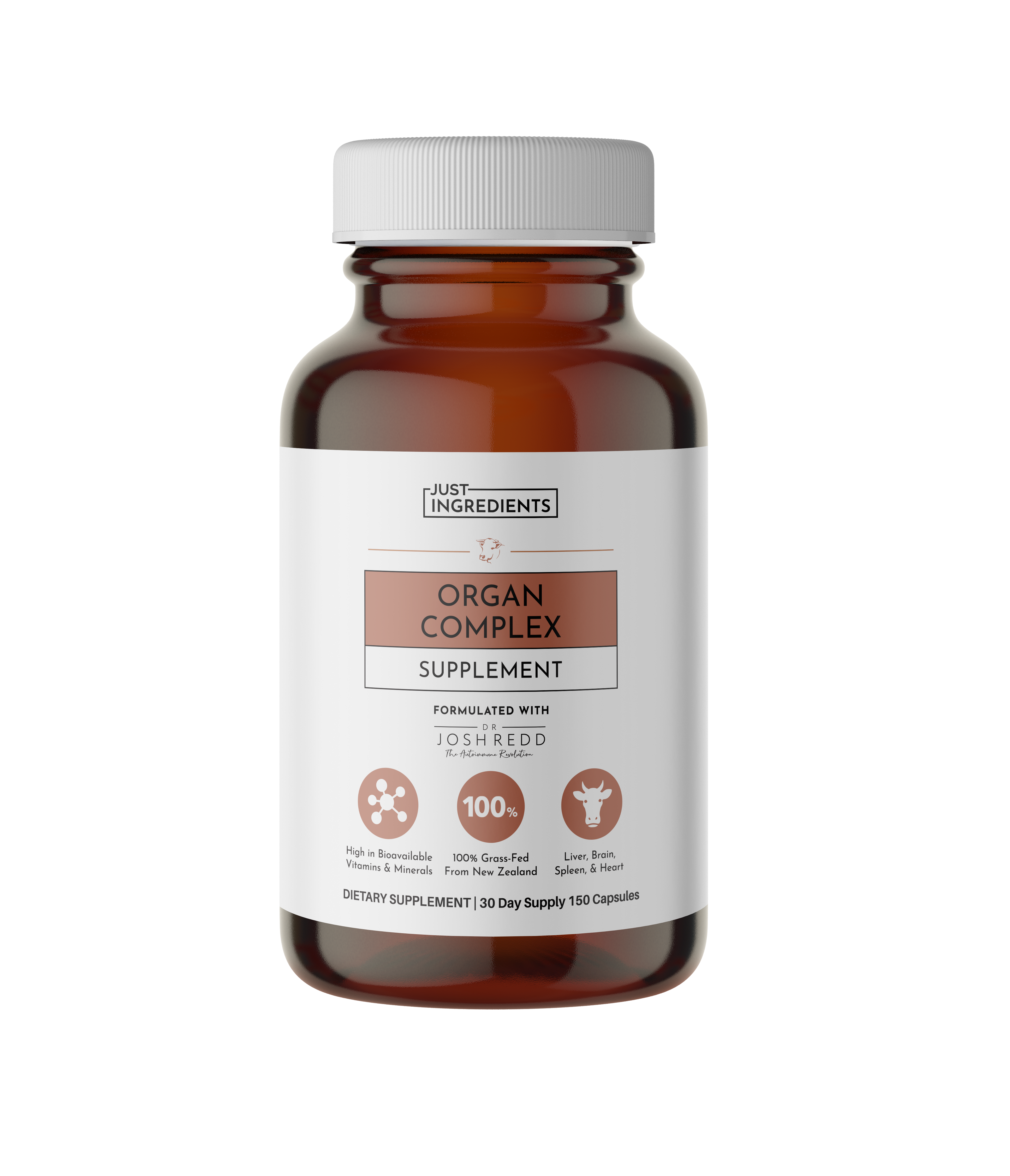 Organ_Complex_Mock-up_WhiteBKG_1.png
