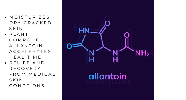 Comfrey Recovery Salve- All Purpose- Repairs Skin and Soothes Muscles/Joint Pain 4 oz. Metal Container