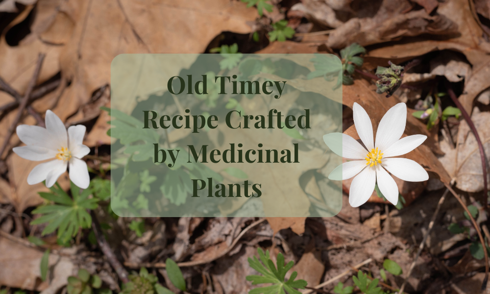 Drawing Salve- Pulls and Dries Cysts, Boils, Splinters, Stings, Rashes, and Infections.