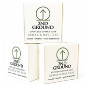 3-Bar Pack (Most Popular)