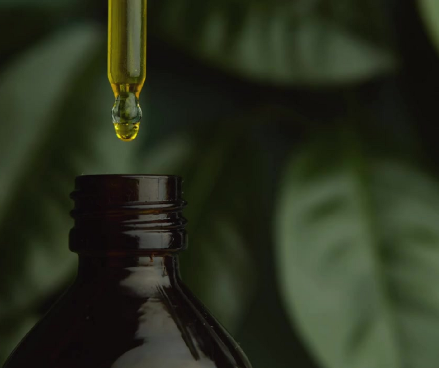 SSF Organics- Joint Pain Oil Blend Concentrate | MSM | Bee Venom | Comfrey | Boswellia | SOOTHE. HEAL. RESTORE.