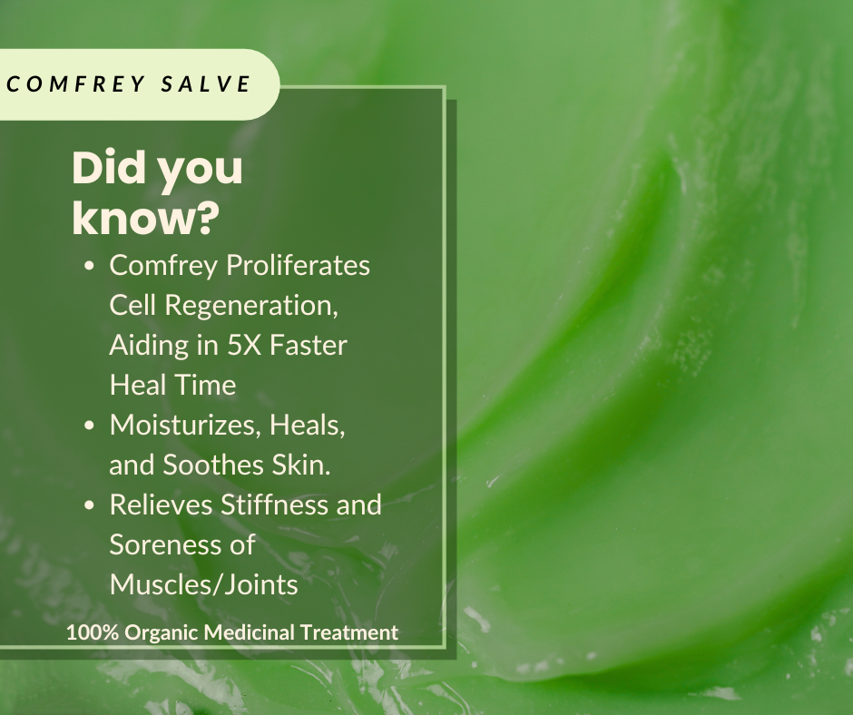 Comfrey Recovery Salve- All Purpose- Repairs Skin and Soothes Muscles/Joint Pain