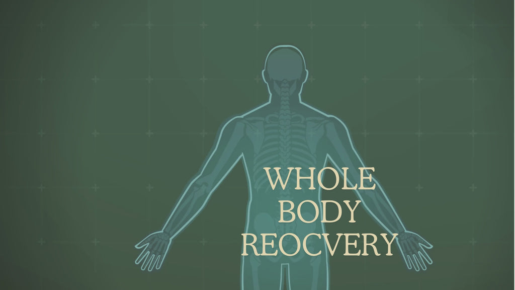 joint flex whole body recovery supplements for hands backache pain