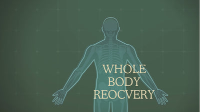 joint flex whole body recovery supplements for hands backache pain skin healing | Advanced Natural Healing on a cellular level for herbal remedies Organic Comfrey Salve - Organic Comfrey  for bone healing and skin muscle and arthritis relief . holistic herbalism comfrey salve | Penetrex | Joint Pain | Arthritis | Eczema | Psoriasis | Cyst | Infection | antifungal | Sore | Rash | Bite | Sting | Bee Venom | glucosamine