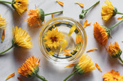 Calendula salve oil for skin rashes and eczema psoriasis and dermatitis made with zinc aloe calendula herbal remedy for skin cysts boils bed sores moisturizing dry skin
